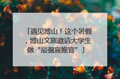 遇见博山！这个暑假，博山文旅邀请大学生做“最强宣推官”